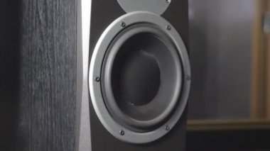 Kayıt stüdyosunda hareket eden subwoofer 'ı kapat. Düşük frekanstaki sesten titreyen ve titreyen siyah yuvarlak ses hoparlörü. Modern yüksek kaliteli hoparlör zarının çalışması. Yavaş çekim