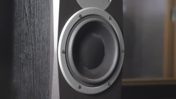 Primer plano del subwoofer en movimiento en el estudio de grabación. Altavoz de audio redondo negro pulsando y vibrando desde el sonido en baja frecuencia. Funcionamiento de la membrana moderna de altavoz de alta fidelidad. Movimiento lento — Vídeo de stock