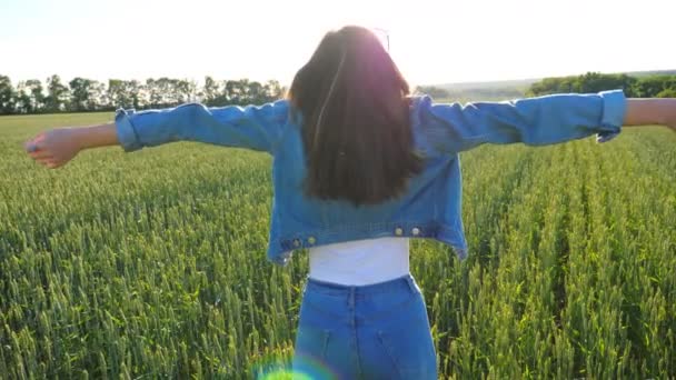 Attraktiv smal kvinna stående med upphöjda händer bland fält med grönt vete. Oigenkännlig flicka njuter av frihet eller solig natur scen. pittoreska landskap av landsbygden i bakgrunden — Stockvideo