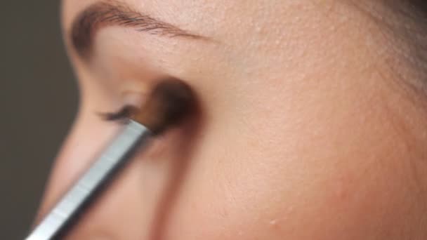 Mujer joven que aplica cosméticos en las cejas. Chica bonita cuidando de sí mismo haciendo maquillaje con cepillo. Modelo atractivo en salón de belleza. Concepto de moda y estilo. Vista detallada Primer plano — Vídeo de stock