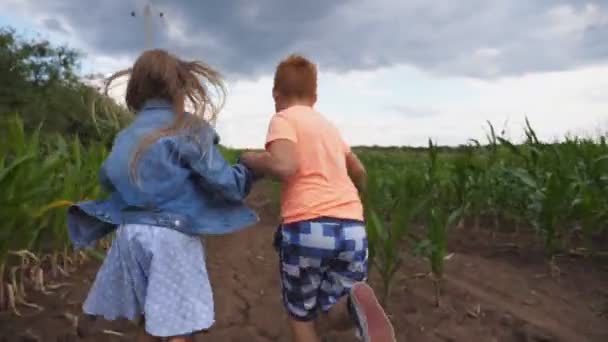 Menina e menino segurando as mãos um do outro e se divertindo enquanto corre através do campo de milho. Crianças bonitos correndo entre plantação de milho, voltando-se para a câmera e sorrindo. Feliz infância. Devagar. — Vídeo de Stock