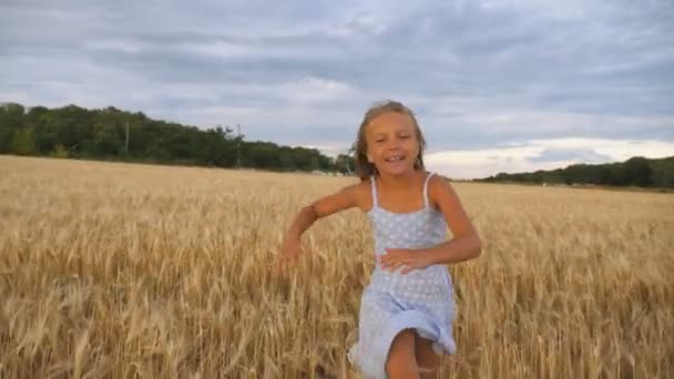 Gros plan de fille heureuse avec de longs cheveux blonds courant à la caméra à travers le champ d'orge. Un petit gamin souriant qui court sur la prairie de blé. Mignon enfant passe du temps à la plantation d'or. Mouvement lent — Video