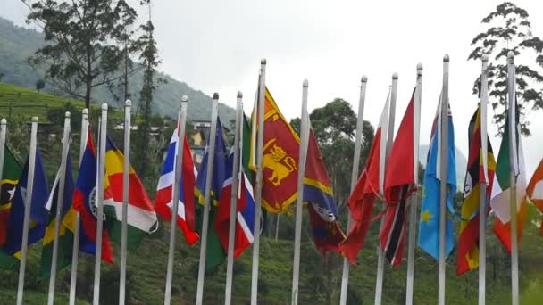 Varias banderas nacionales brillantes y mundiales de diferentes países ondeando al viento en los asta de la bandera. Primer plano: cámara lenta — Vídeo de stock