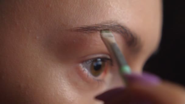 Close up eye of young girl doing Make-up mit Wimperntusche. Attraktive Frau, die sich um sich selbst kümmert und Augenbrauen malt. Lady Anwendung von Kosmetik. Konzept von Schönheit und Stil. Zeitlupe Detailansicht — Stockvideo