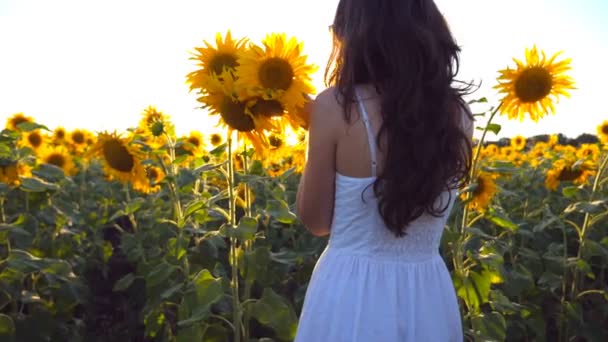 Jong meisje met boeket bloemen in handen wandelen langs zonnebloemen veld. De glans van de zon op de achtergrond. Volg vrouw gaan op de weide. Achterzijde terug bekijken Slow motion — Stockvideo