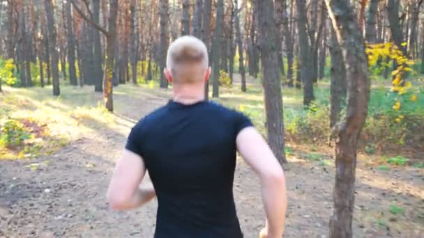 Felismerhetetlen ember fut az erdei ösvényen. Férfi sportoló gyúr a természetben. Atlétikai srác kardio edzést tart a szabadban. Fogalom az egészséges aktív életmód. Lassú mozgás Bezárás Vissza — Stock videók