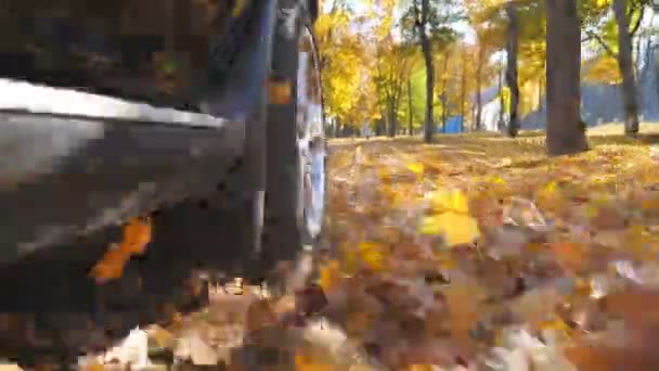Widok z boku czarnego SUV-a jadącego szybko ulicą nad żółtymi opadłymi liśćmi. Potężny samochód jadący wzdłuż miejskiego jesiennego parku w słoneczny dzień. Malownicze jesienne otoczenie. Zwolniony ruch — Wideo stockowe