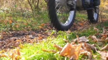 Motosikletliler motorsikletleriyle orman yolunda hızlı sürüyorlar. Güçlü motosikletler süren arkadaşlar doğada aktif olarak dinleniyorlar. Motorcular gezinin tadını çıkarıyor. Olağanüstü spor konsepti. Yavaş çekim