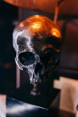 Renkli kalemler Kupası