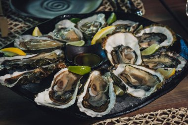 Kırılmış buz üzerinde istiridye