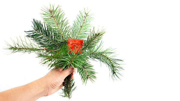 Зимний праздничный букет елок и красная подарочная коробка в женской руке . — стоковое фото