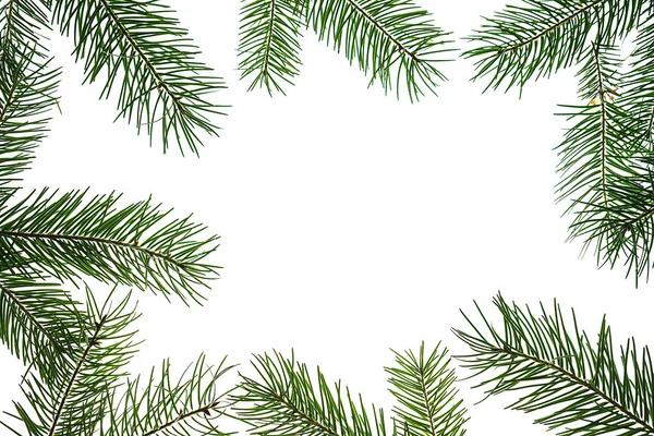 Творческая рождественская композиция из зеленых ветвей елки на белом фоне, изолированные . — стоковое фото