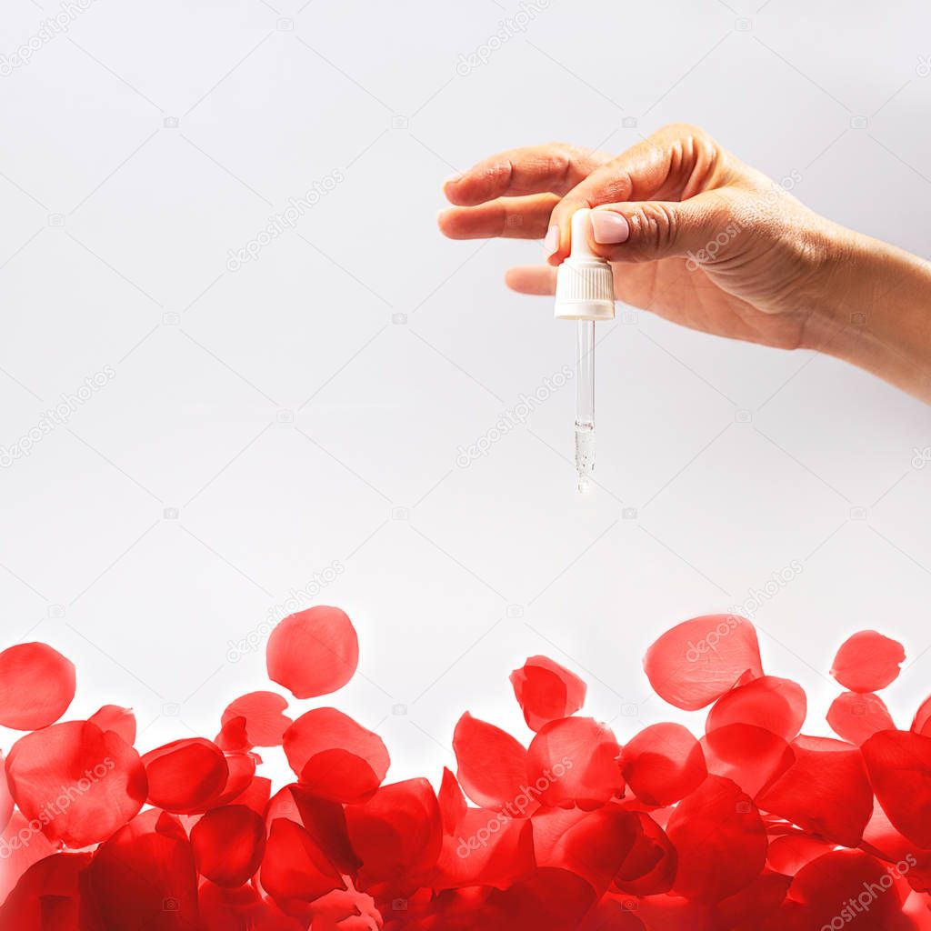 Hand of woman with pipette with drop of serum or hyaluronic acid and rose flower.