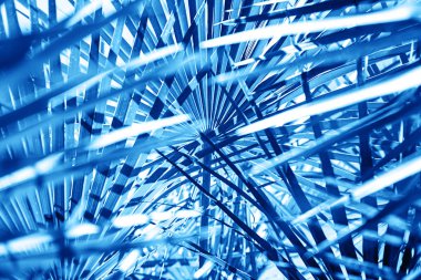 Güneş ışığı arka planda palmiye yaprakları.