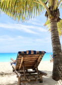 Картина, постер, плакат, фотообои "tropical nature landscape. sunbed on sandy beach under palm tree.", артикул 333933552