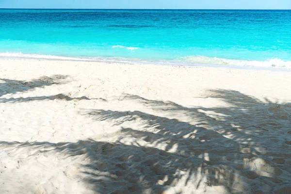 Güneşli güzel bir günün panoramik manzarası ve kumlu sahilde palmiye ağacı.. — Stok fotoğraf