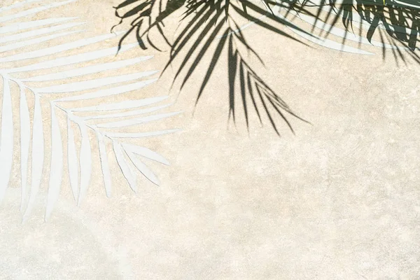 Stíny palmových listů na bílém písku na tropické pláži. — Stock fotografie