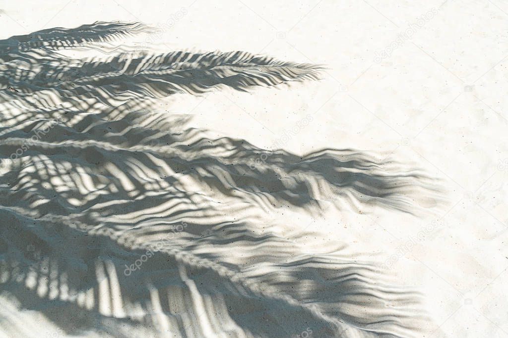 Palm leaf shadows on a white sand on tropical beach.