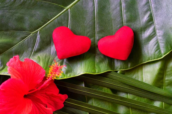 Två röda hjärtan och blomma på palmblad bakgrund. — Stockfoto