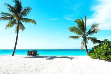 Egzotik adadaki kumlu sahilde güzel güneşli bir günün panoramik manzarası.