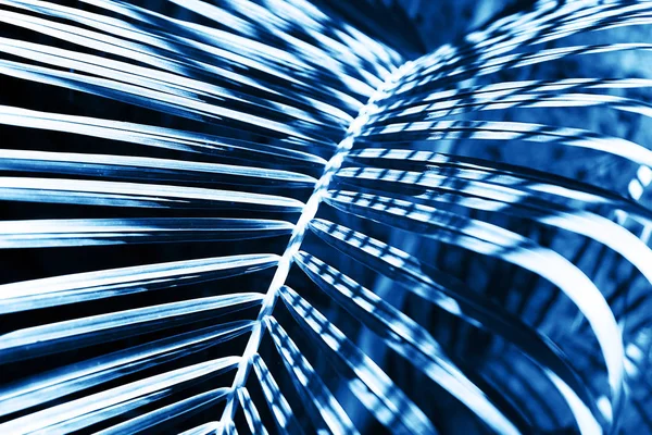 Renkli klasik mavi arkaplanda tropikal palmiye yaprağı.