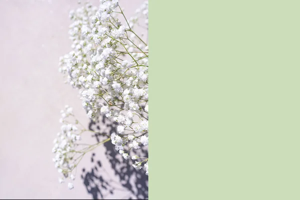 Beautiful bouquet of white flowers with shadows on pastel pink green mint background. — Stock Photo, Image