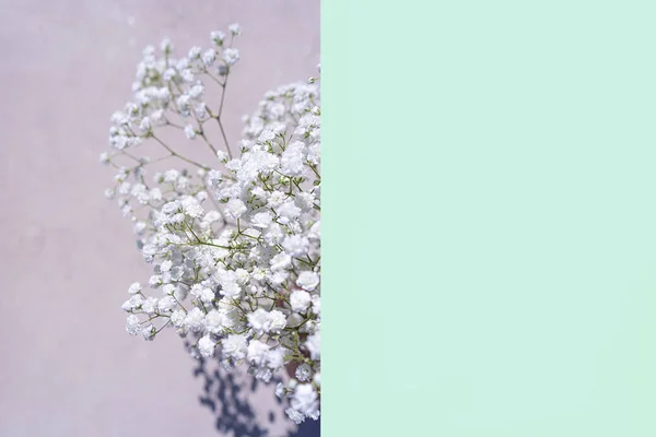 Όμορφο μπουκέτο από λευκά λουλούδια με σκιές σε παστέλ ροζ πράσινο φόντο μέντα. — Φωτογραφία Αρχείου