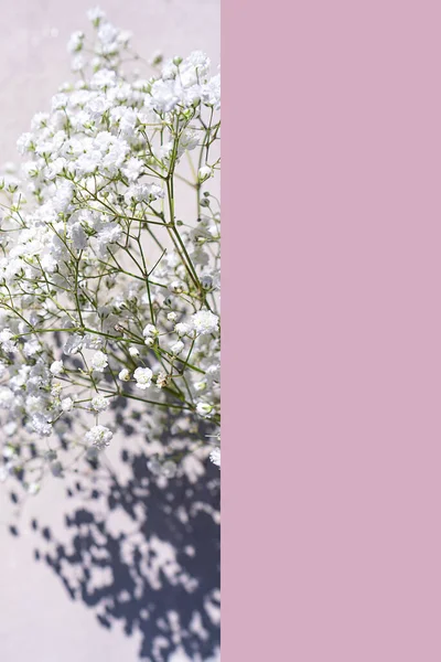 Vacker bukett av vita blommor med skuggor på pastell grå rosa betong bakgrund. — Stockfoto