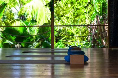 Açık tropikal yoga stüdyosu manzaralı güzel bahçeli palmiye ağaçları ve okyanus manzaralı..