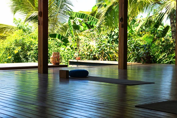 Açık tropikal yoga stüdyosu manzaralı güzel bahçeli palmiye ağaçları ve okyanus manzaralı..