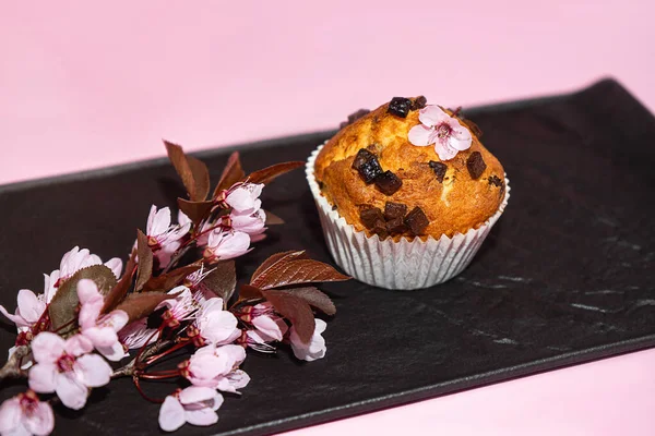 Choklad muffin och körsbär blommor sakura, hemmagjord bageri på mörk och rosa bakgrund. — Stockfoto