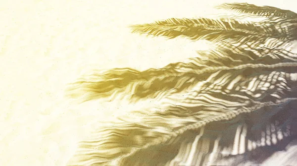 Sombra de folha de palma em uma areia branca na praia tropical . — Fotografia de Stock