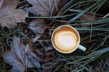 Sonbahar kompozisyon. Kahve, kurutulmuş yaprakları, açık renkli. Sonbahar zarif kavramı. Düz yatıyordu, en iyi görünüm, kopya alanı