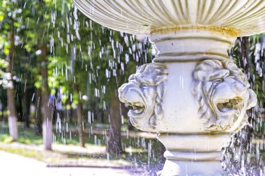  Çeşmedeki aslanın mermer kafası. 