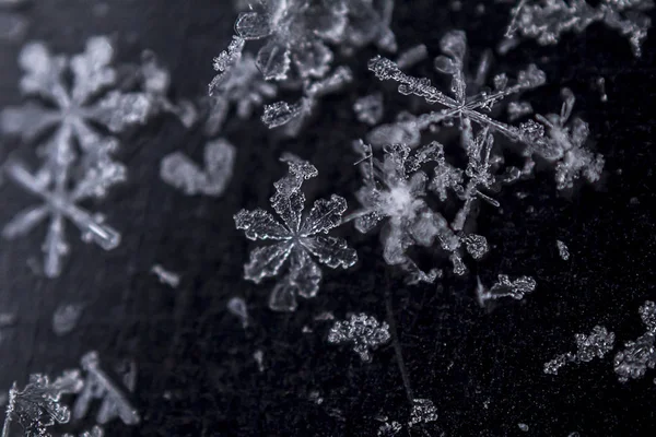 Hermosos Copos Nieve Helados Sobre Fondo Oscuro —  Fotos de Stock