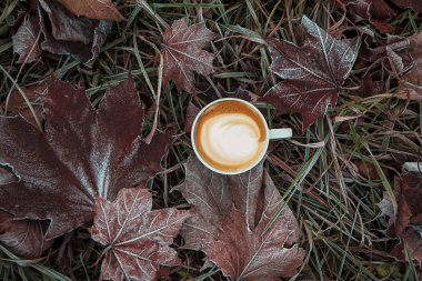 Sonbahar kompozisyon. Kahve, kurutulmuş yaprakları, açık renkli. Sonbahar zarif kavramı. Düz yatıyordu, en iyi görünüm, kopya alanı