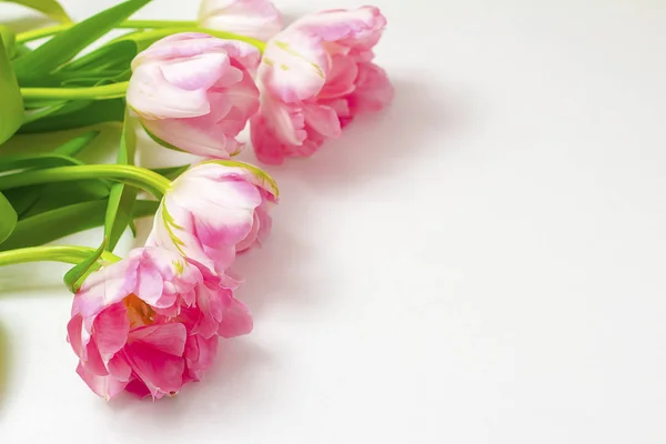 Ramo Tulipanes Rosados Flores Fondo —  Fotos de Stock