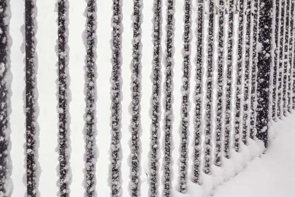 Gitterstäbe Eines Metallzauns Klammen Schnee — Stockfoto