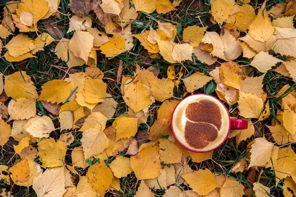 Herbstkomposition Tasse Kaffee Getrocknete Blätter Heller Hintergrund Herbst Elegantes Konzept — Stockfoto