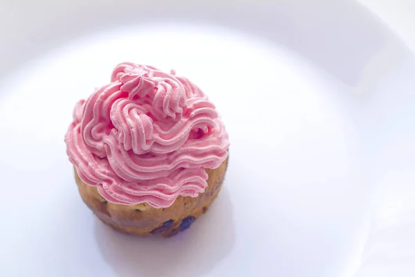 Cupcake Pink Cream — Stock Photo, Image