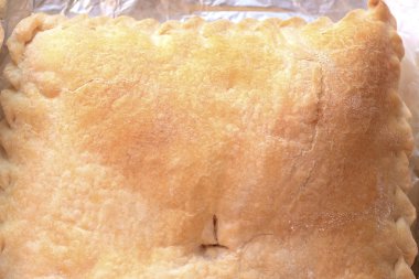 Turta kabuğunun yakınlaştırılması