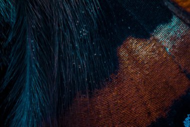 Doğal efektli mavi arkaplan.