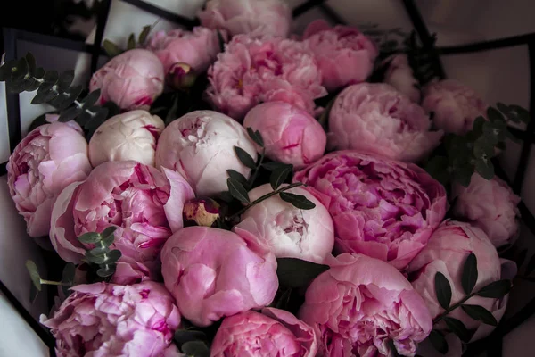 Close Flores Peônia Rosa — Fotografia de Stock