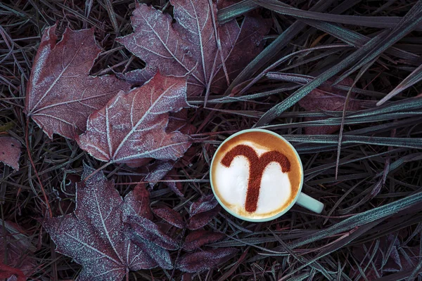 Signo Del Zodiaco Aries Una Espuma Capuchino Caliente Una Taza —  Fotos de Stock