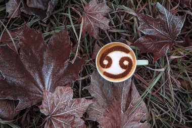 Sonbahar kompozisyon. Kahve, kurutulmuş yaprakları, açık renkli. Sonbahar zarif kavramı. Düz yatıyordu, en iyi görünüm, kopya alanı