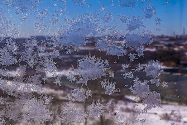 Χειμερινό Τοπίο Παγετό Και Νιφάδες Χιονιού — Φωτογραφία Αρχείου