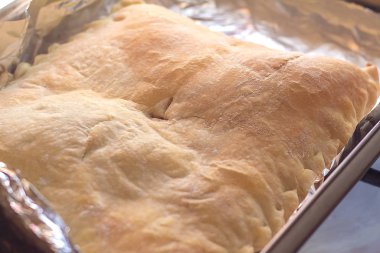 Turta kabuğunun yakınlaştırılması