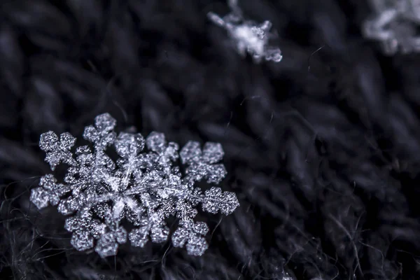 Hermosos Copos Nieve Helados Sobre Fondo Oscuro —  Fotos de Stock