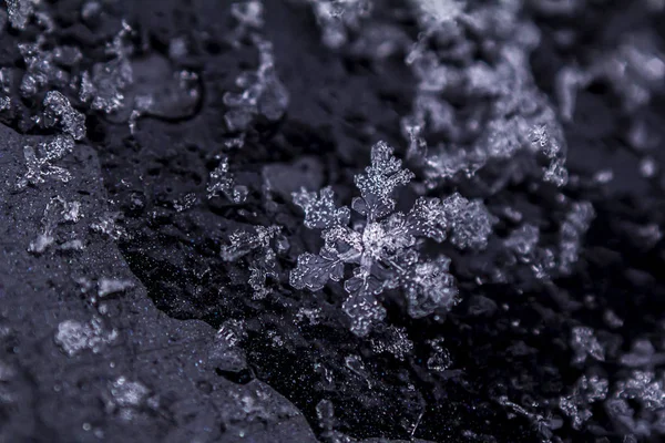 Schöne Eisige Schneeflocke Auf Dunklem Hintergrund — Stockfoto