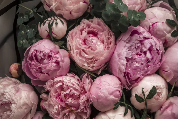 Close Pink Peony Flowers — Stock Photo, Image